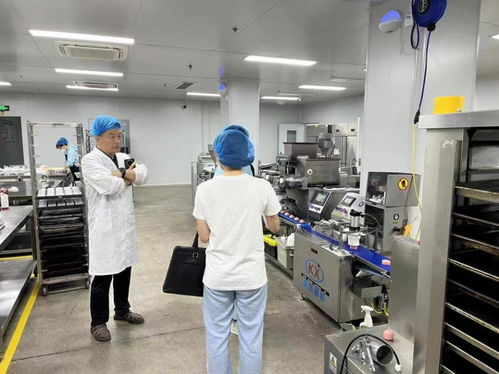 淄博淄川 四個提升助力食品生產企業高質效發展，電子產品技術開發與銷售融合賦能
